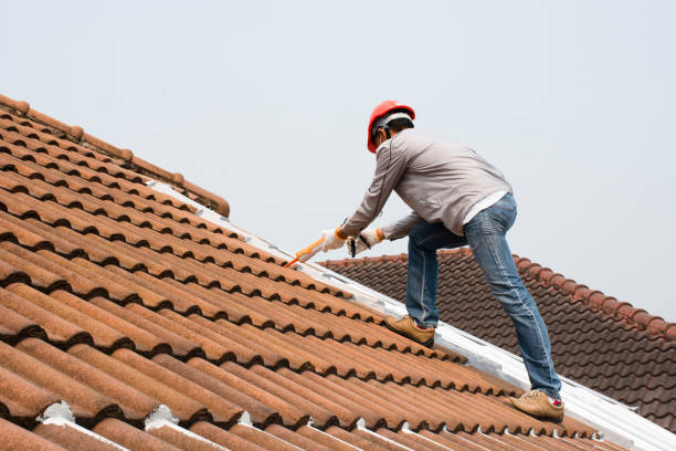 Best Roof Moss and Algae Removal  in Waimanalo Beach, HI